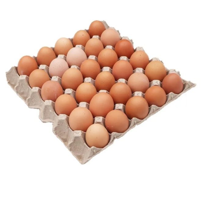 Zawadi 30-Cell Egg Paper Trays